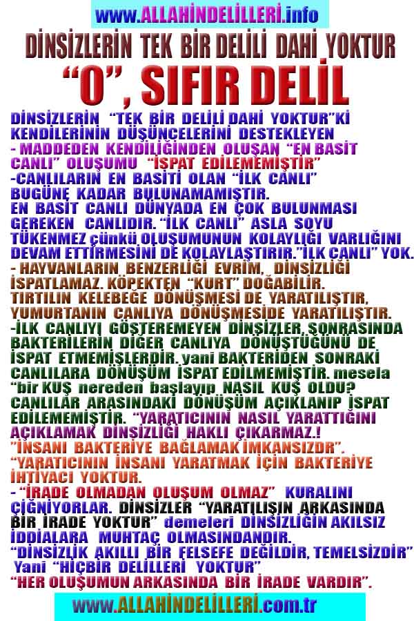 Allahin Delilleri1
