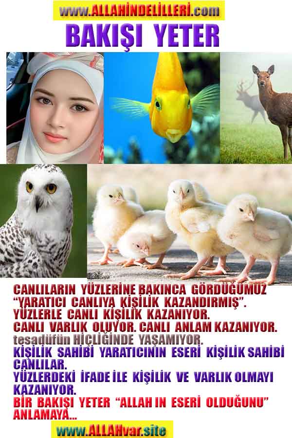 Allahin Delilleri2