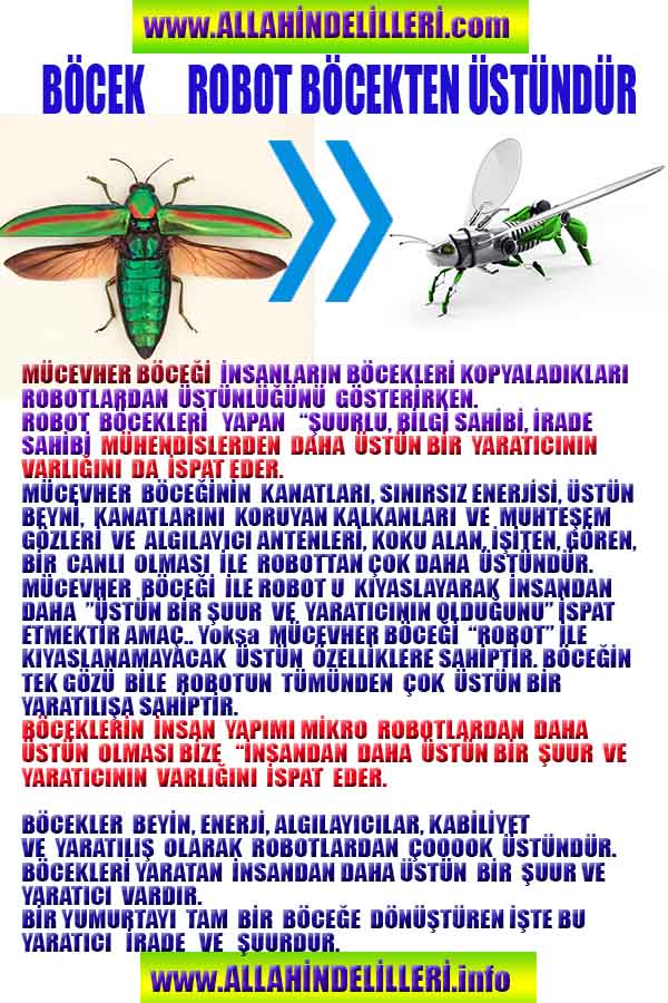 Allahin Delilleri2