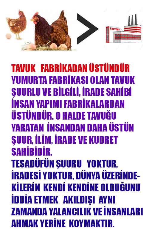 Allahin Delilleri2