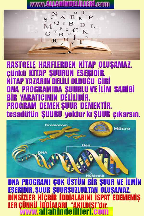 Allahin Delilleri1