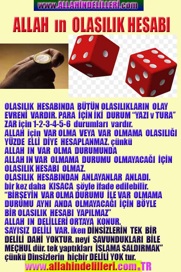 Allahin Delilleri2